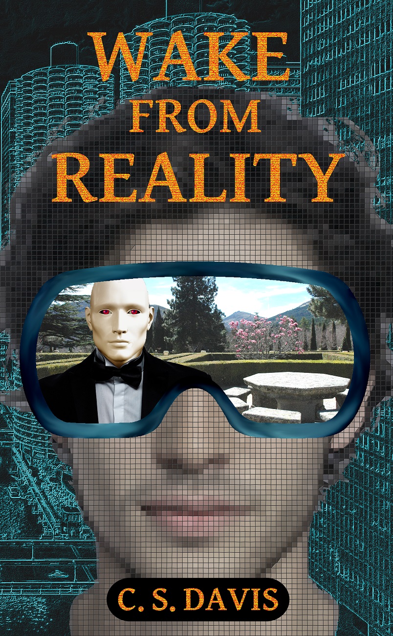 Book cover for Wake from Reality